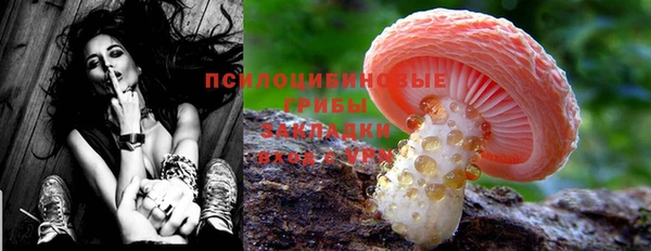 не бодяженный Арсеньев